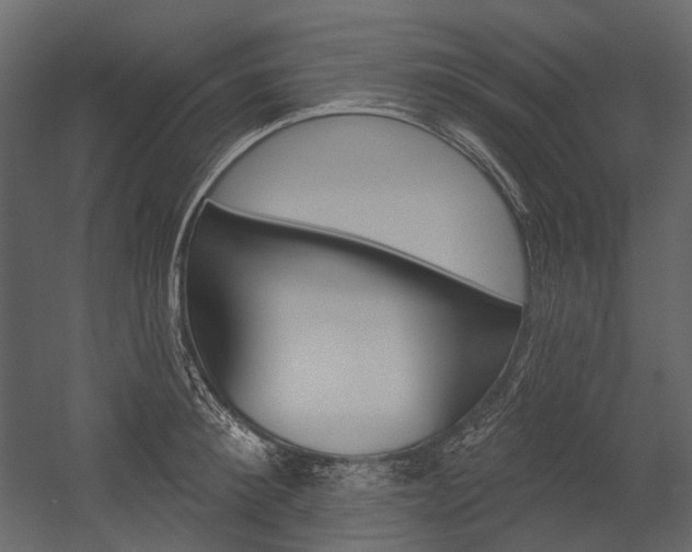 X0000054420900200507290923