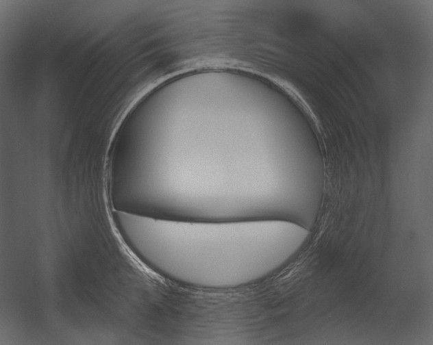 X0000054420903200507290923