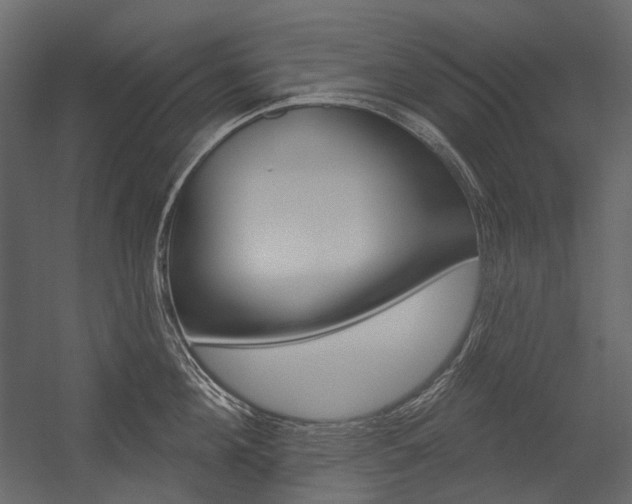 X0000054420908200507290923