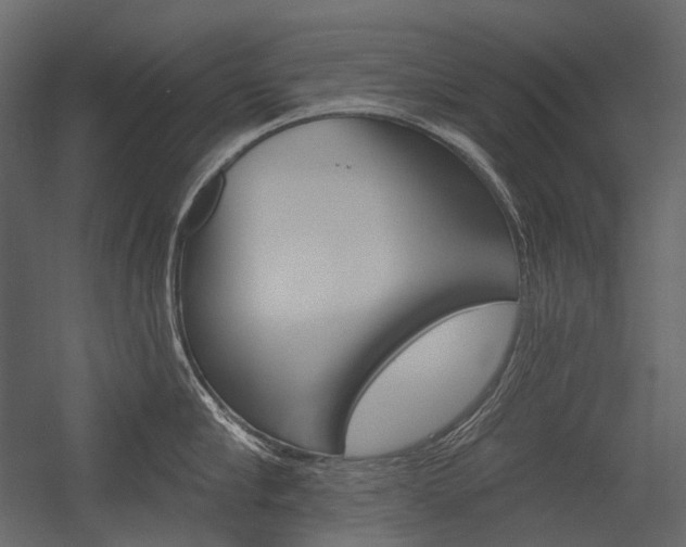 X0000054420910200507290922
