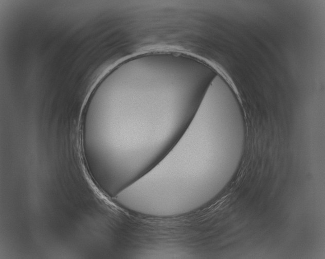 X0000054420911200507290922