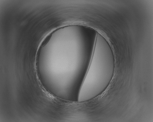 X0000054420912200507290922