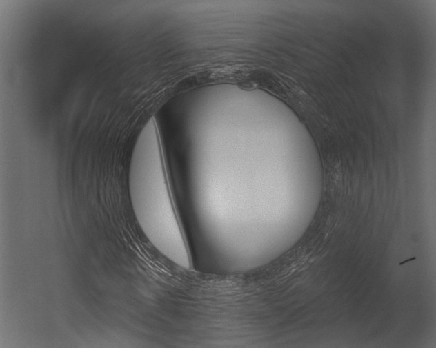 X0000054420914200507290922