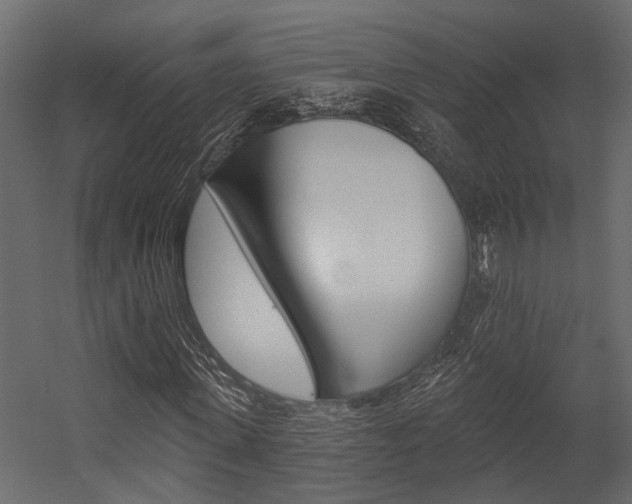 X0000054420915200507290922