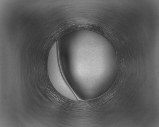 X0000054420916200507290922