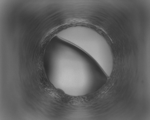 X0000054420919200507290922