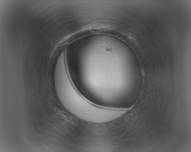 X0000054420920200507290922