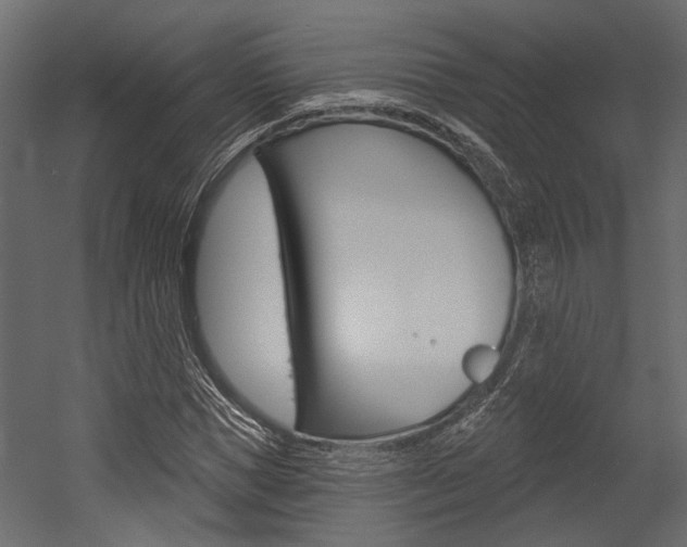 X0000054420921200507290922