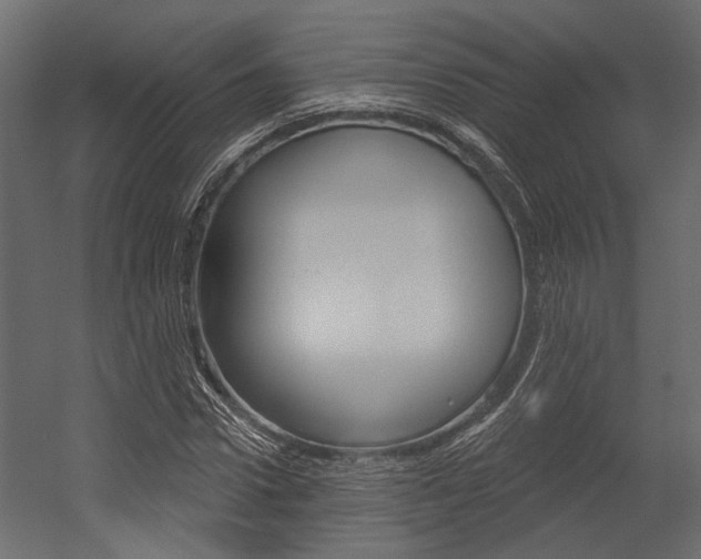 X0000054420922200507290922