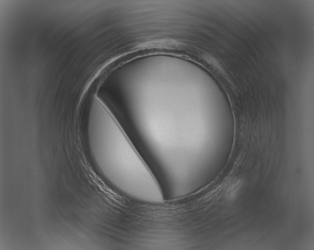 X0000054420923200507290922