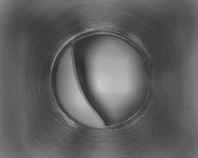 X0000054420924200507290922