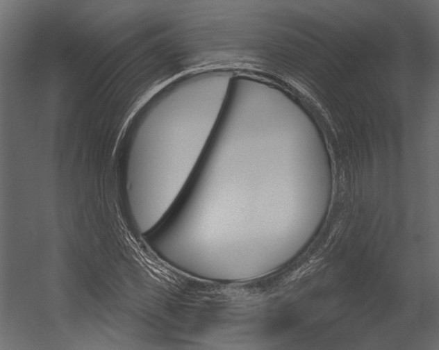 X0000054420925200507290922