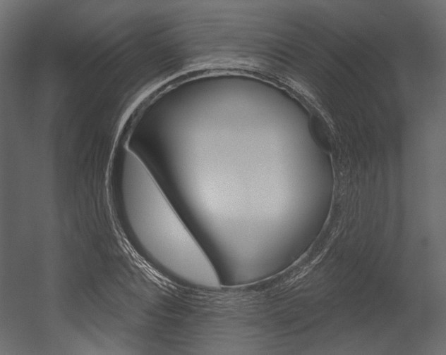 X0000054420928200507290922