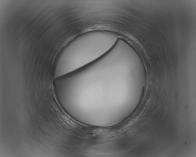 X0000054420929200507290922