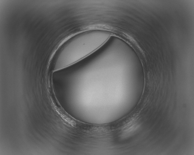 X0000054420931200507290922