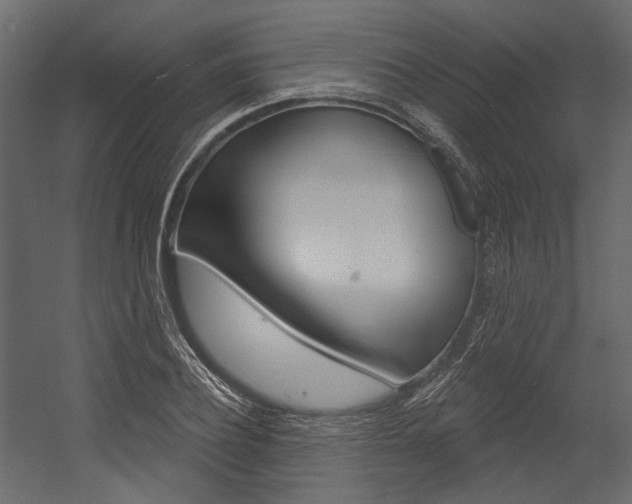 X0000054420932200507290922