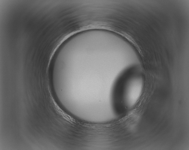 X0000054420934200507290922
