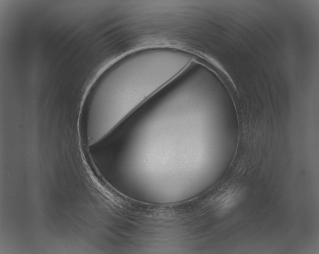 X0000054420935200507290922