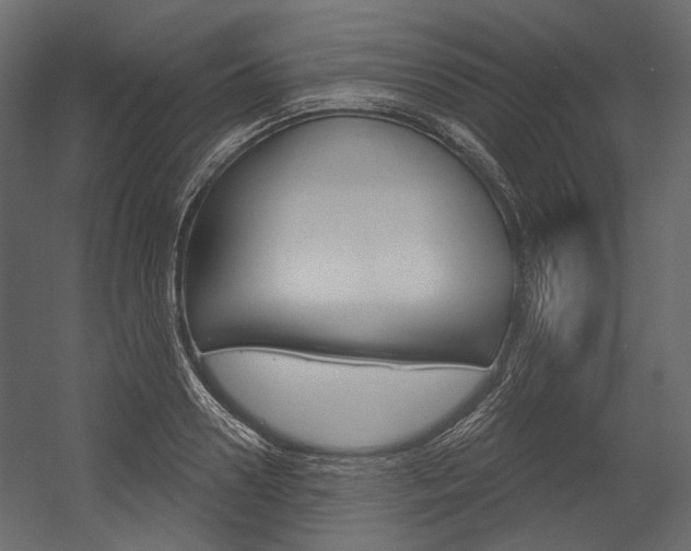 X0000054420938200507290922
