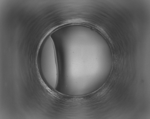X0000054420939200507290922