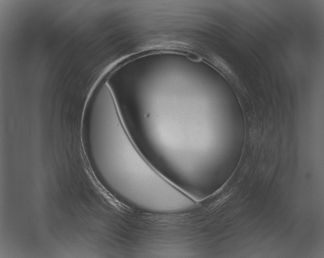 X0000054420940200507290922