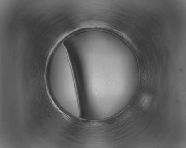 X0000054420943200507290922