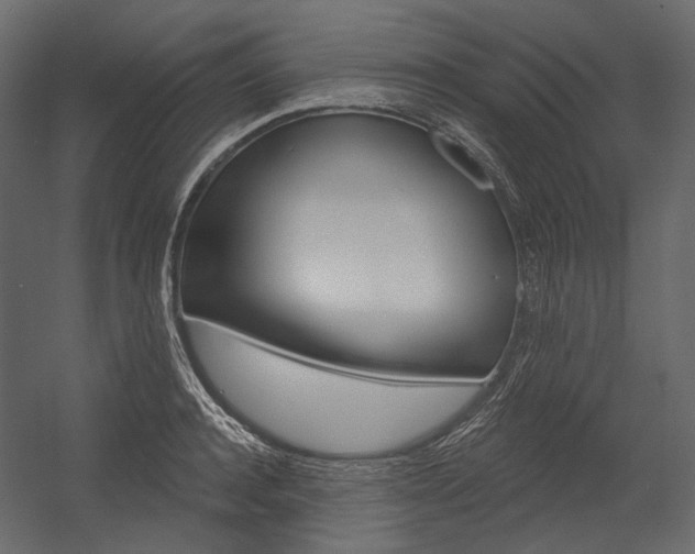 X0000054420944200507290922