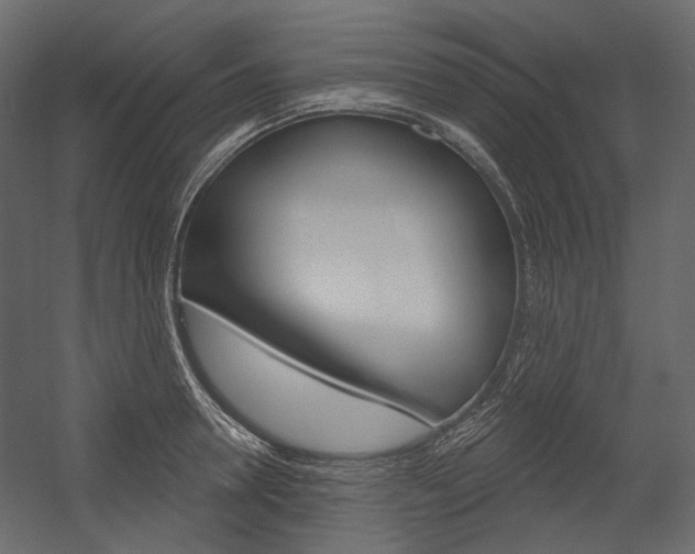 X0000054420946200507290922