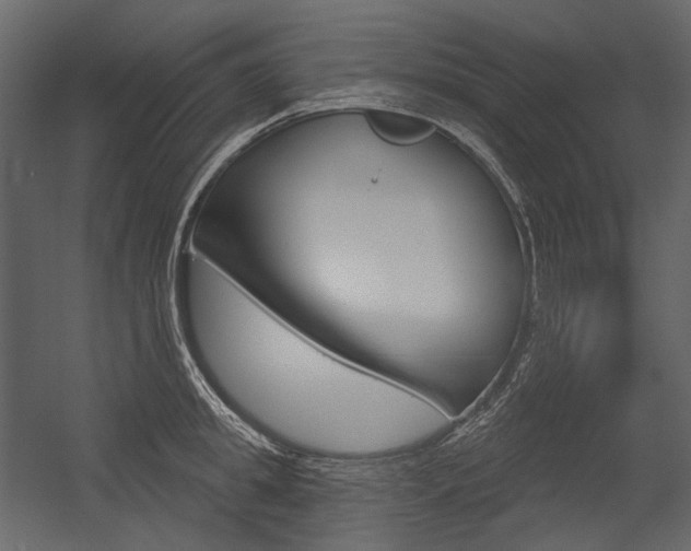 X0000054420949200507290922