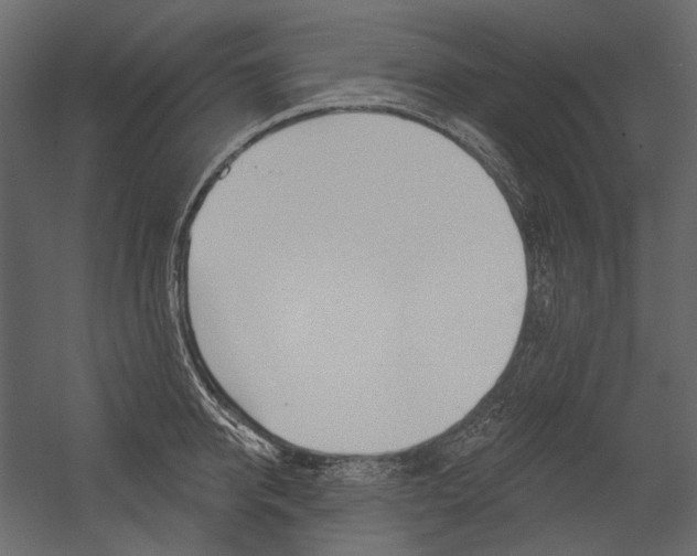 X0000054420950200507290922