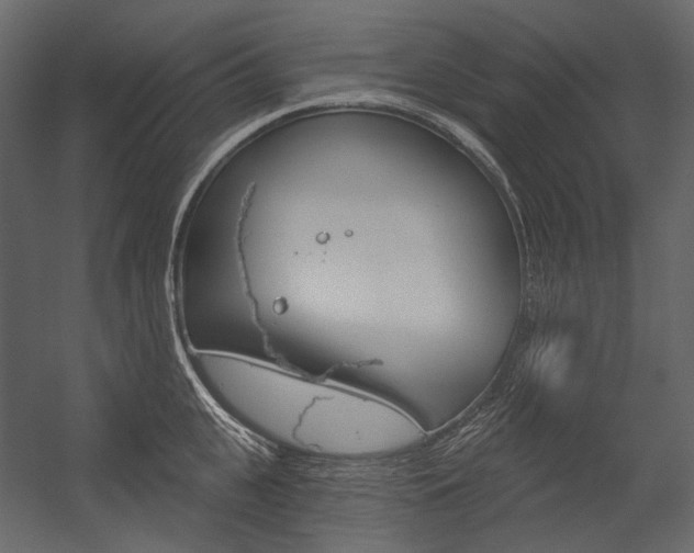 X0000054420951200507290922