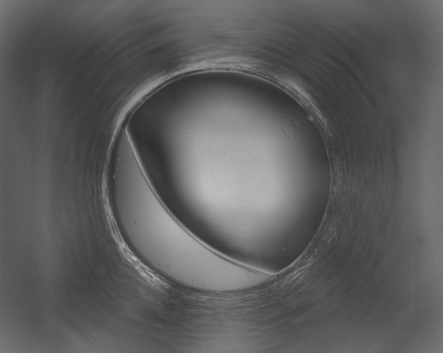 X0000054420952200507290922