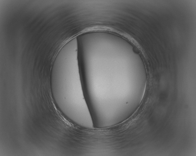 X0000054420953200507290922