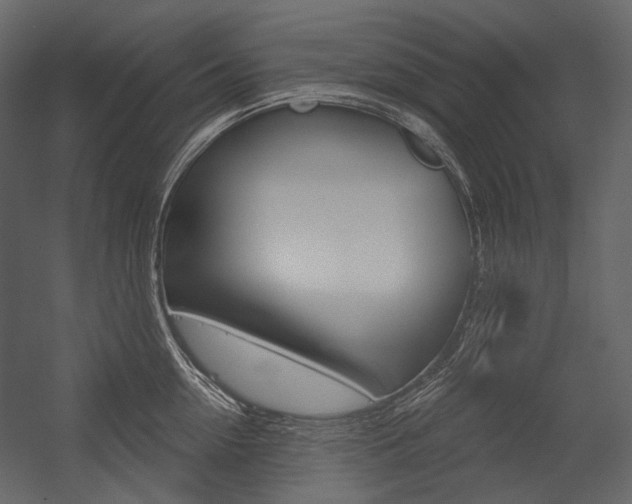 X0000054420954200507290922