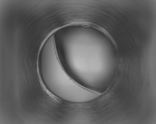 X0000054420955200507290922