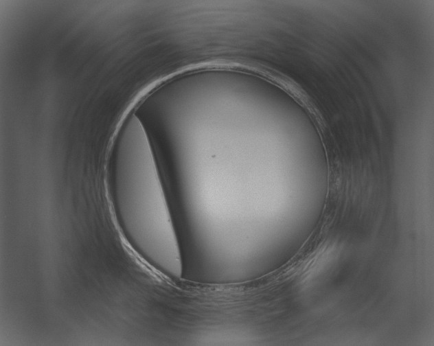 X0000054420958200507290922