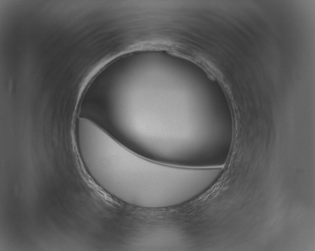 X0000054420960200507290922