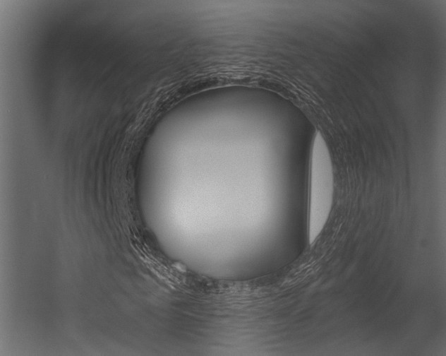 X0000054420961200507290922