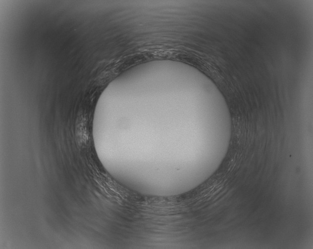 X0000054420962200507290922