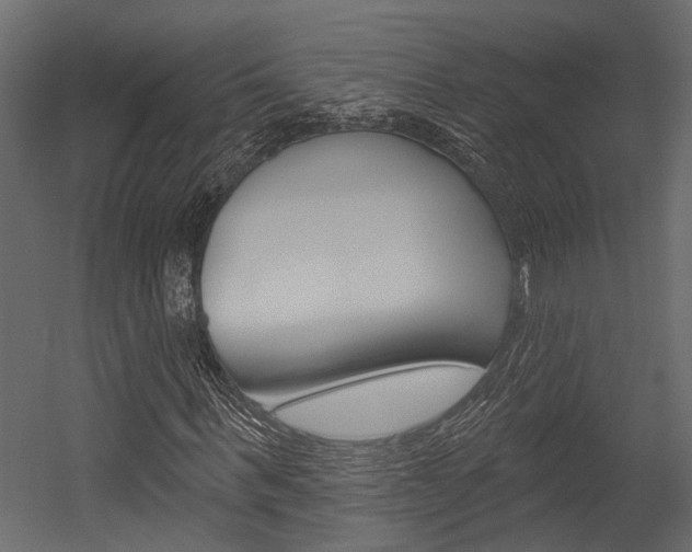 X0000054420963200507290922