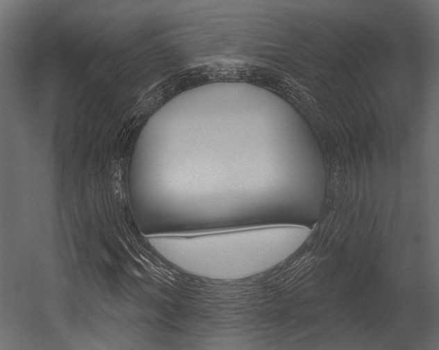 X0000054420964200507290922
