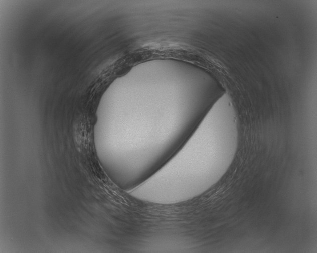 X0000054420966200507290922