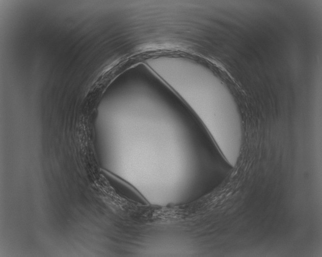 X0000054420967200507290922
