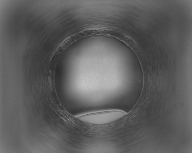 X0000054420968200507290922