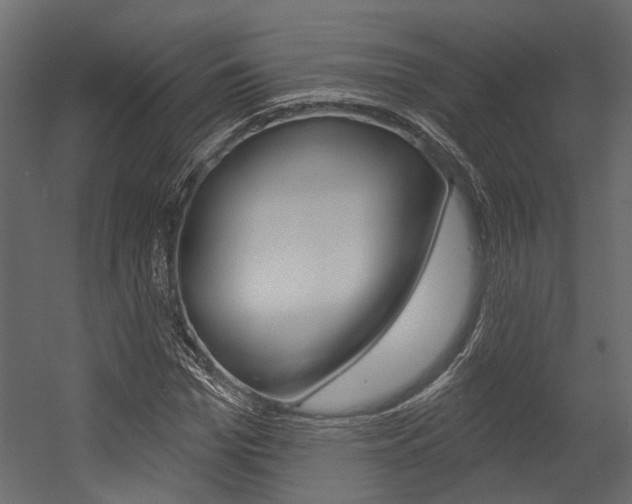 X0000054420969200507290921