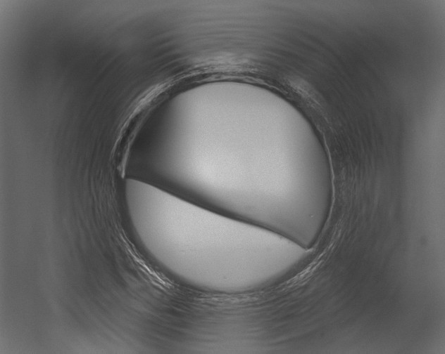 X0000054420970200507290921