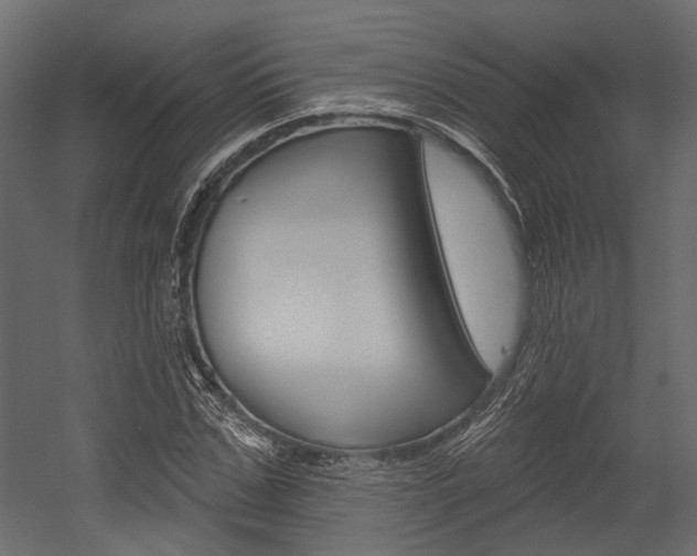 X0000054420971200507290921