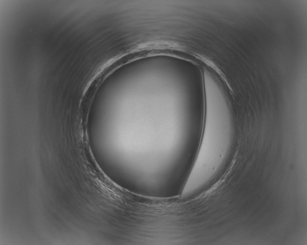 X0000054420973200507290921