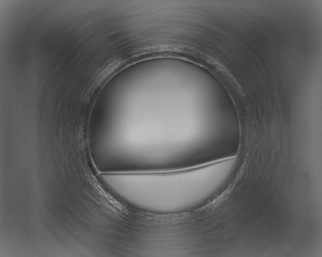 X0000054420977200507290921