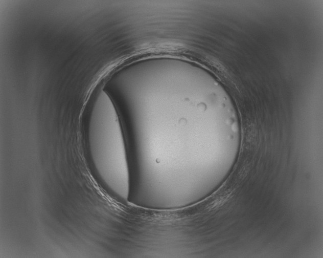 X0000054420978200507290921